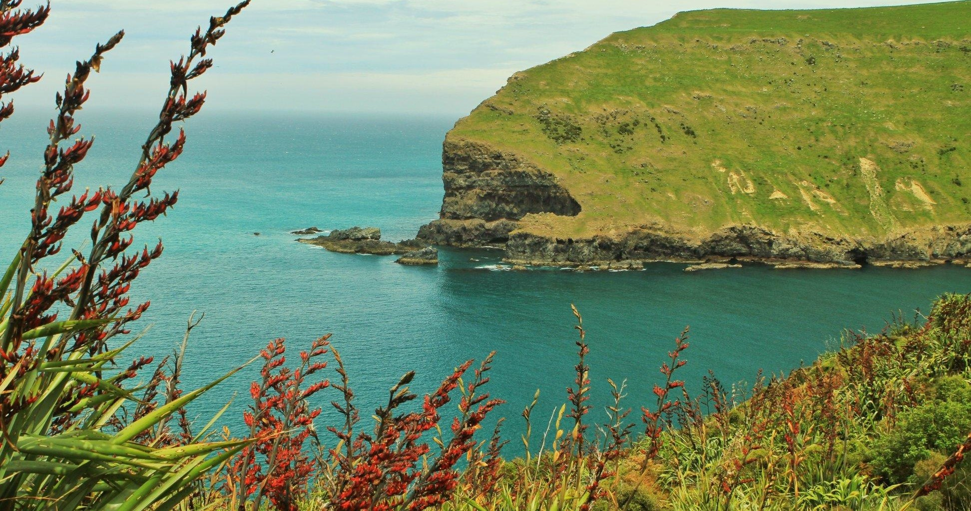 4WD Pohatu Penguin Discovery and Nature Tour - Photo 1 of 4